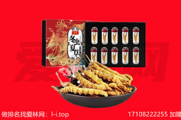 北安市回收虫草.jpg